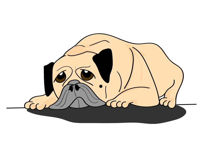 sad dog picture